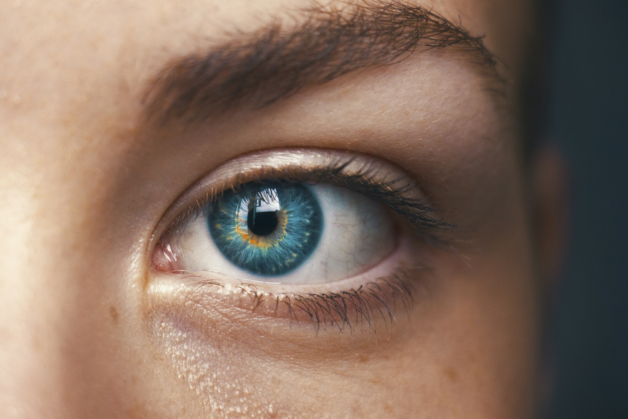 Primer plano de un ojo